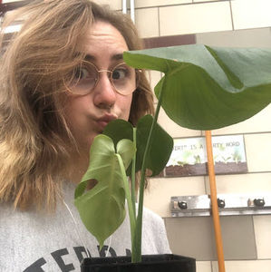 Meet your Posher, Joyce